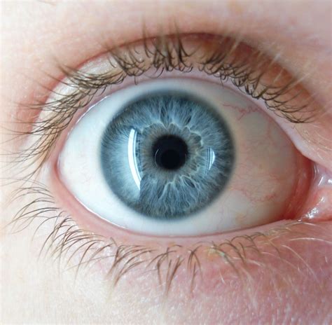 ¿por Qué Los Seres Humanos Nacen Con Ojos Azules