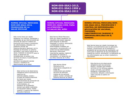 Nom Ssa Nom Ssa Y Nom Mind Map