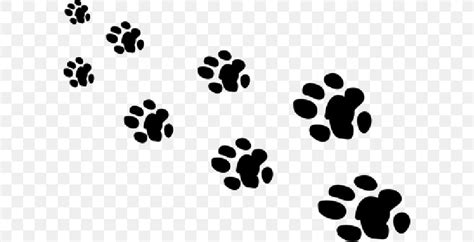 Giant Panda Bear Paw Animal Footprint, PNG, 600x420px, 2017, Giant ...