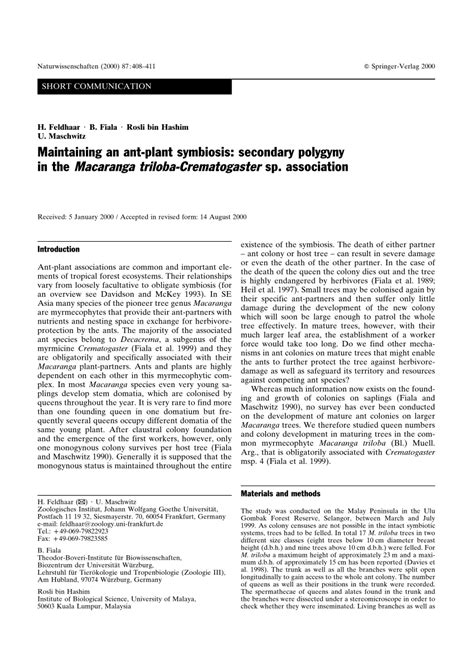 (PDF) Maintaining an ant-plant symbiosis: secondary polygyny in the ...