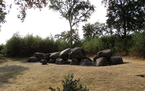 Hunebedcentrum In Borger Doet Mee Aan Weekend Van De Wetenschap Met