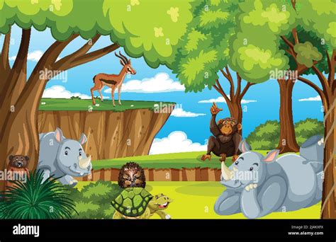 Wild animals in nature forest scene illustration Stock Vector Image & Art - Alamy