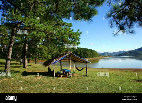 Paisaje De Interior De Dalat Suoi Vang Lugar Para Viajar Acampar