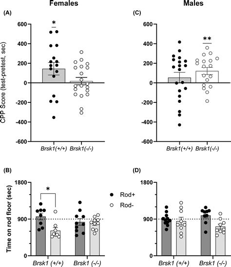 Brain‐specific Serinethreonine‐protein Kinase 1 Is A Substrate Of Protein Kinase C Epsilon