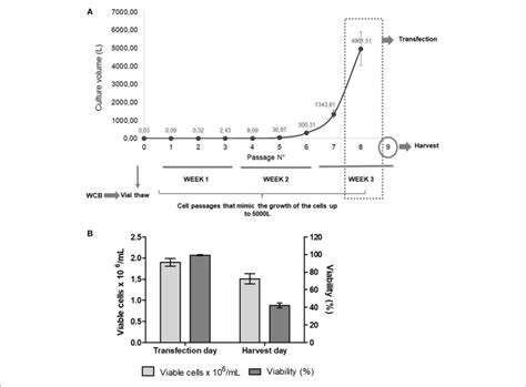 A Experimental Design Of The Reproducibility Assay After Vials