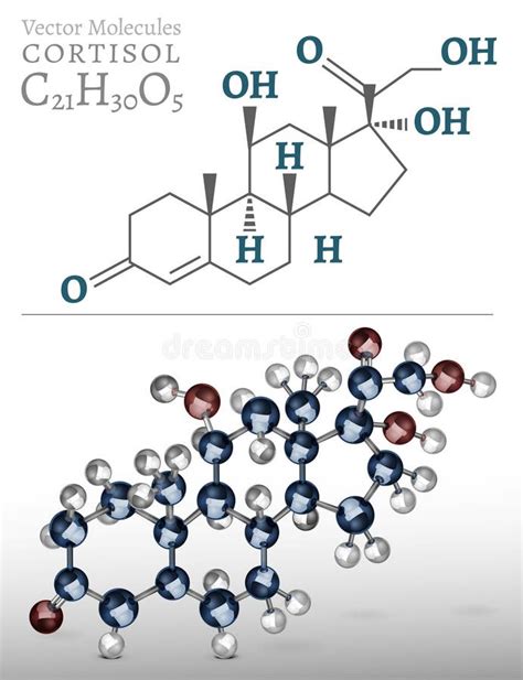 Imagem Da Molécula Do Cortisol Ilustração Do Vetor Ilustração De