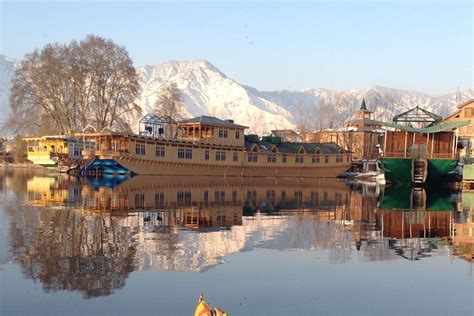 Butterfly Group of Houseboat, Srinagar | Srinagar, House boat, Photo