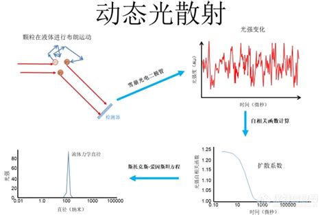 纳米激光粒度分析仪在生物制药领域的应用