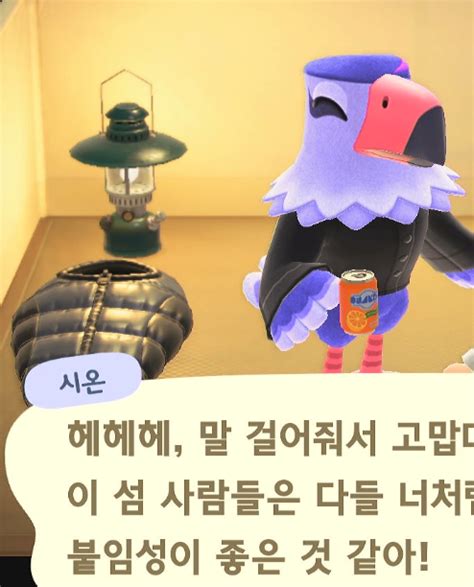 해연갤 게임 모동숲 캠핑장 갔다가 소름돋았어