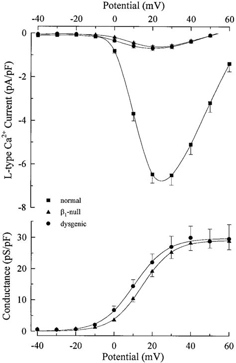 Current Voltage And Conductance Voltage Relationships Of Normal And