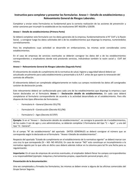 PDF Instructivo Para Completar Y Presentar Los Formularios