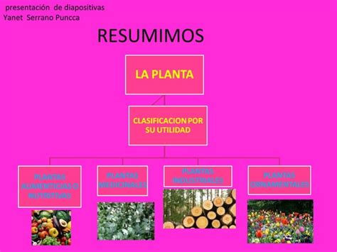 Sesion Clasificacion De Planta Ppt