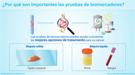 Presentación de diapositivas Comprender las pruebas de biomarcadores