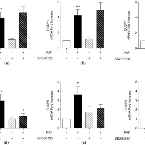 MAPK Involvement In PAF Stimulated DUSP1 And DUSP5 MRNA Expression In