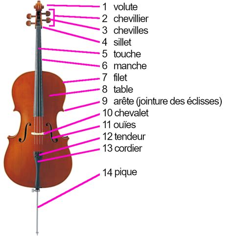 Le violoncelle instrument de musique de la famille des cordes frottées