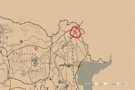 Cougars In Red Dead Rdr2 Cougar Locations Hunting Guide And Maps Tgmor