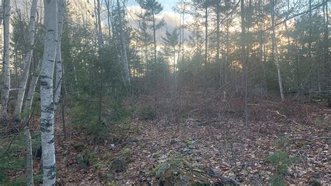 5 Acres Of Land For Sale In Burlington Maine Penobscot County The