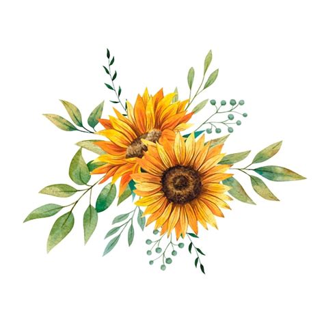 Ramo De Girasoles Acuarela Con Hojas Florales Vector Premium