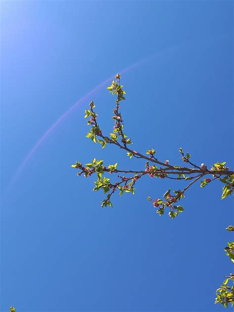 Himmel Natur Blau Kostenloses Foto Auf Pixabay Pixabay