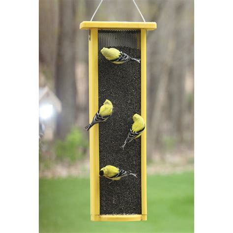 Shop Birds Choice Recycled Plastic Bird Feeder at Lowes.com