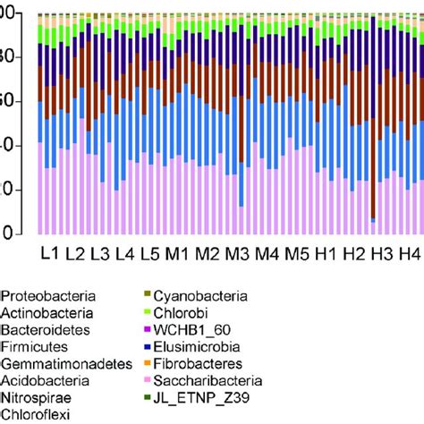 Chart Of The Relative Abundance Of The Different Levels Of Bacteria At