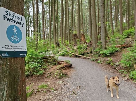 Off Leash Trails And Hikes The Dog Network