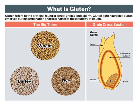 A Guide To Gluten Free Grains