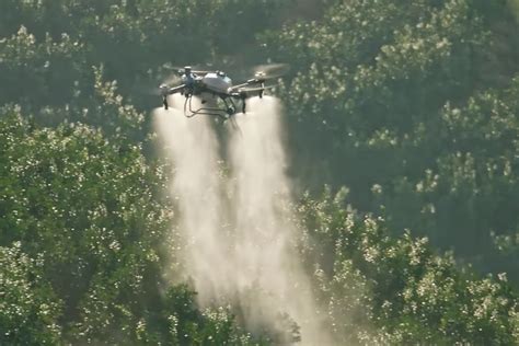 DJI Drones Take Precision Agriculture to New Heights - Drone Videos ...