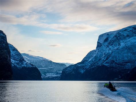 Fjordsafari Flam 2022 Qué Saber Antes De Ir Lo Más Comentado Por