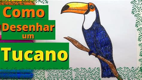 Como Desenhar Um Tucano Passo A Passo Youtube