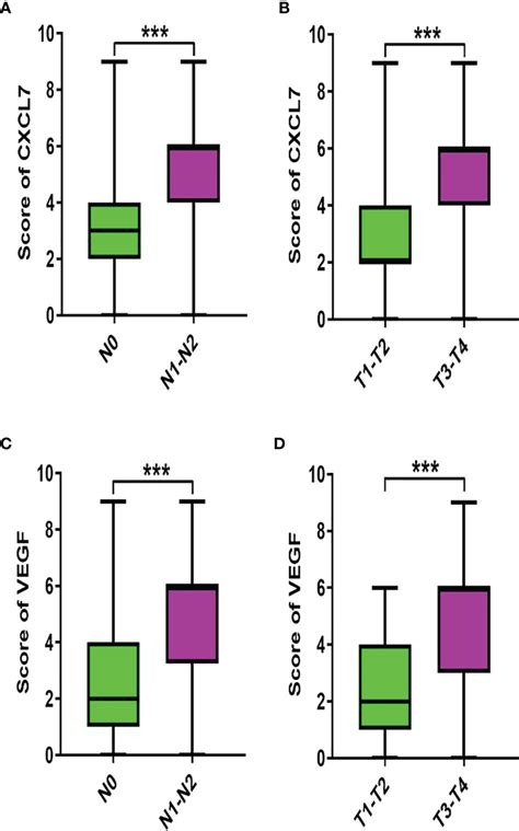 Frontiers The Chemokine CXCL7 Is Related To Angiogenesis And