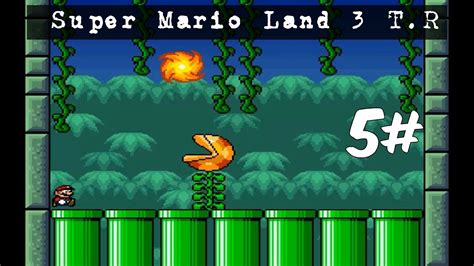 Hacks Mods De Super Mario Super Mario Land 3 T R 5 YouTube