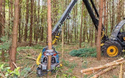 Best Forestry Machine Guide - What Heavy Equipment To Buy