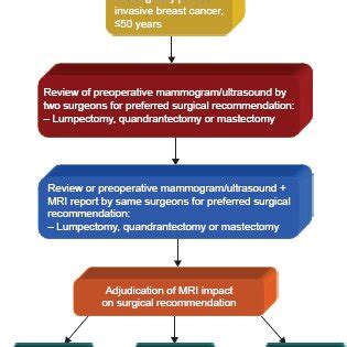 Contrast Enhanced Preoperative Breast Mri In A Year Old Patient With