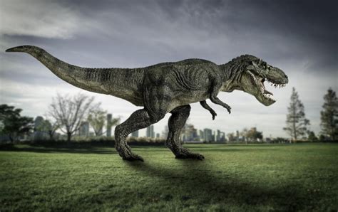 Revelan Que Patas Largas De Tiranosaurus Rex Permit An Conservar Su