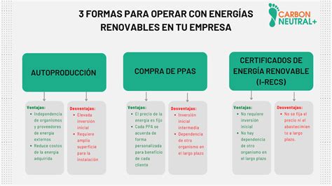 Cómo usar energía renovable en tu empresa