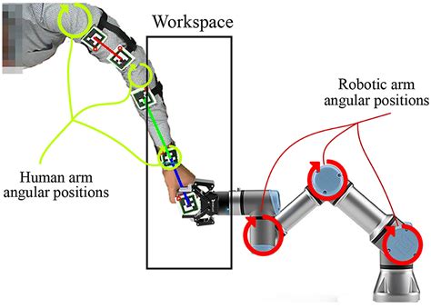 Frontiers A Bio Inspired Mechanism For Learning Robot Motion From