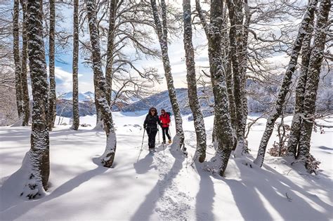 La Neve Il Lupo La Luna Escursioni Con Le Ciaspole In Abruzzo