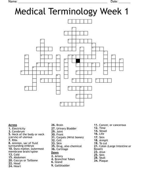 Medical Terminology Chapter 6 Crossword Puzzle Answers Printable