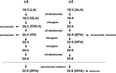 The Evidence for α Linolenic Acid and Cardiovascular Disease Benefits