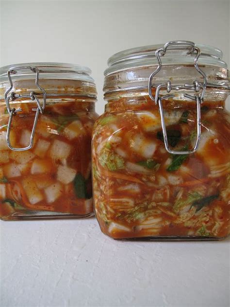 The science of lactic acid fermentation pickles kraut kimchi and more ...