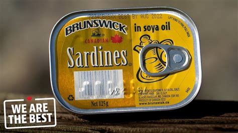 One Of The Largest Sardine Canning Factories In The World Is In New