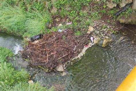 Mještani banjalučke Ade se žale da im je naselje zapušteno