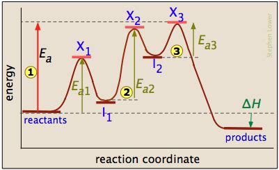 Endothermic Reaction Coordinate Diagram - Wiring Diagram Pictures