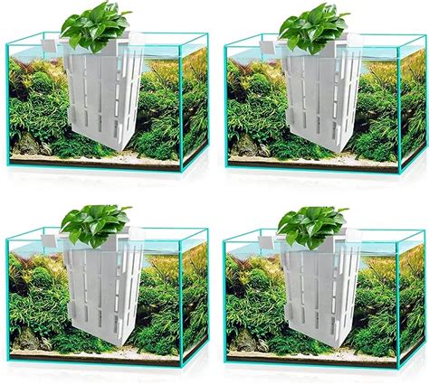 Amazon Beatyloit Hanging Aquarium Plant Holder Pcs Aquarium