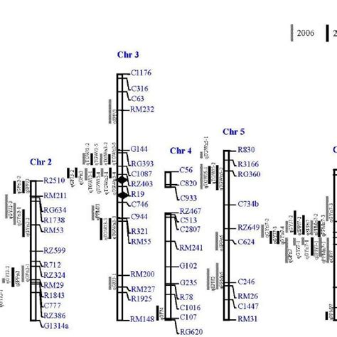 Genetic Linkage Map Showing The Location Of Qtls For The Traits