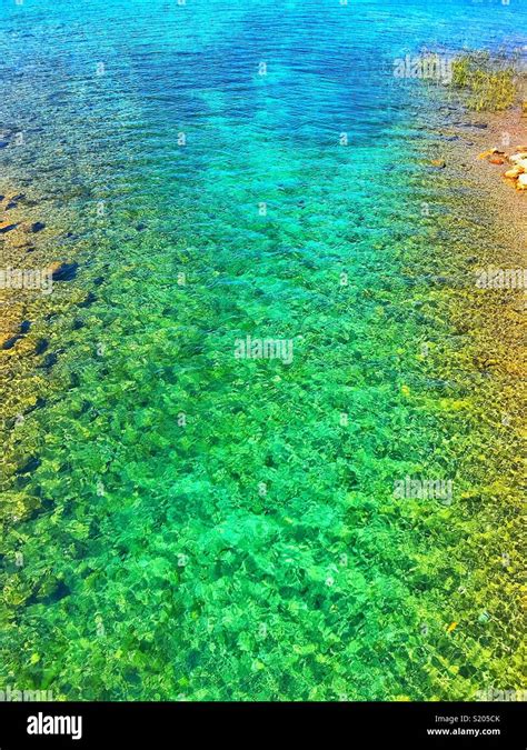 Clear lake water Stock Photo - Alamy