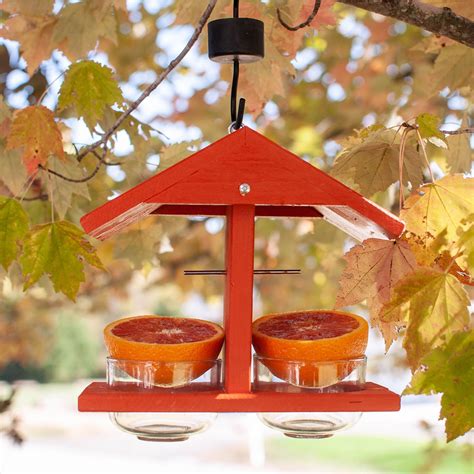 Double Fruit And Jelly Oriole Feeder