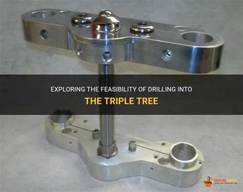 Exploring The Feasibility Of Drilling Into The Triple Tree Shuntool