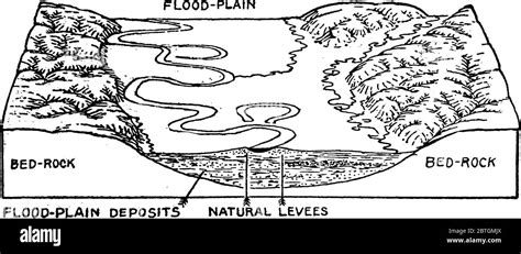 River floodplain Stock Vector Images - Alamy